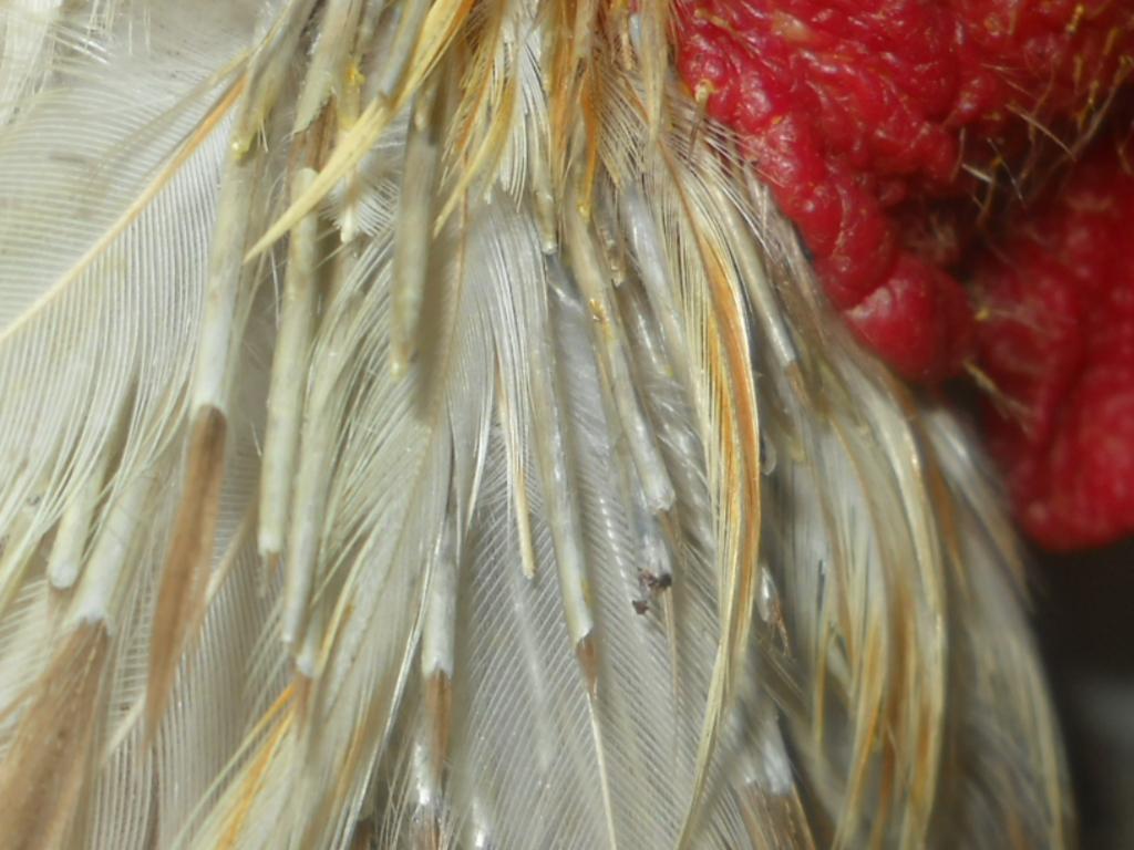57353_044.jpg