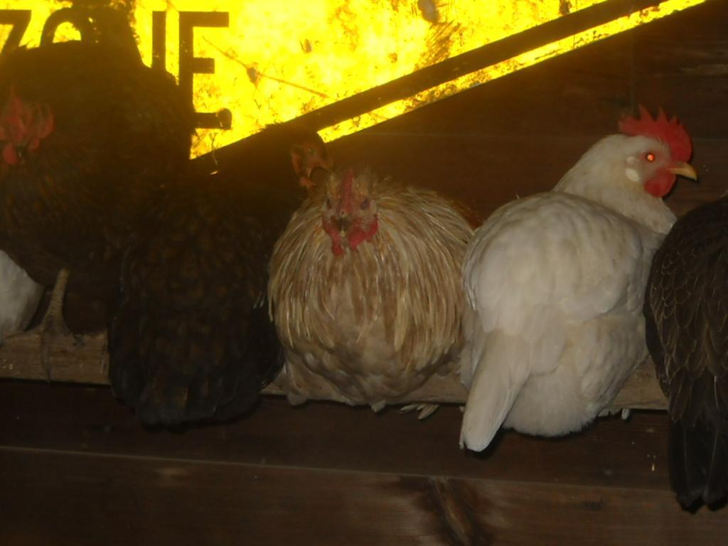 57353_073.jpg