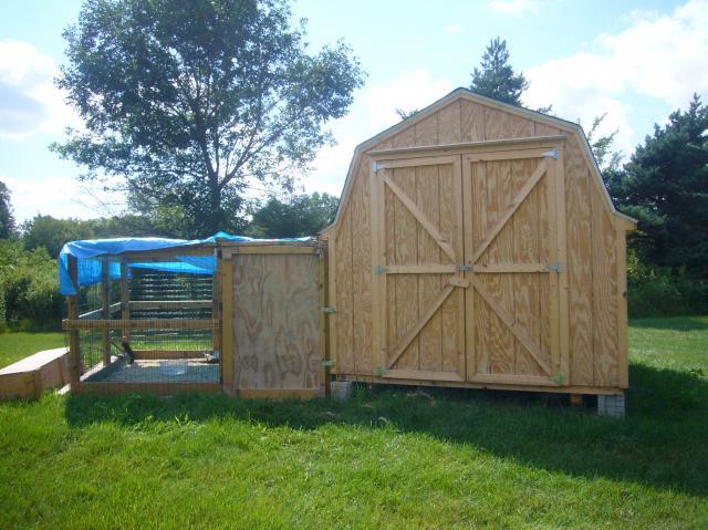 57488_chickens_021.jpg