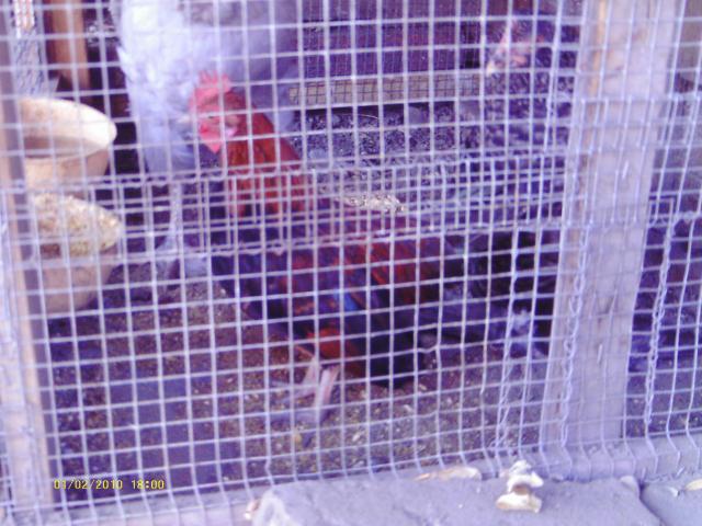 57622_008.jpg