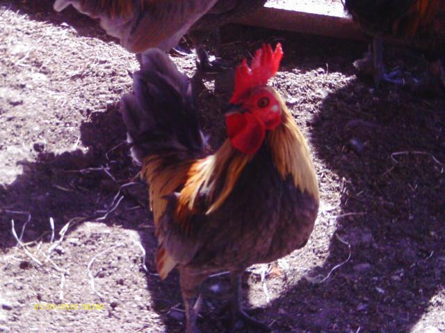 57622_012.jpg