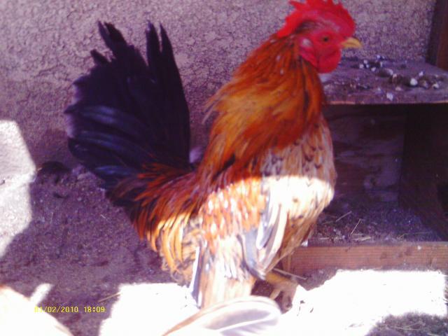 57622_iytiyti.jpg