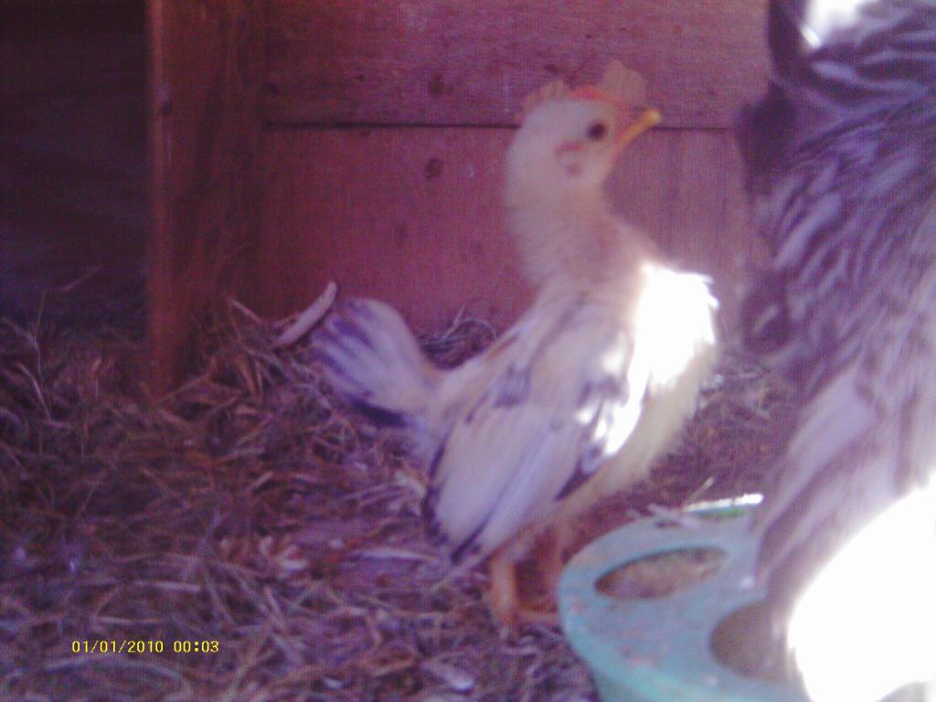 57622_uioytiti.jpg