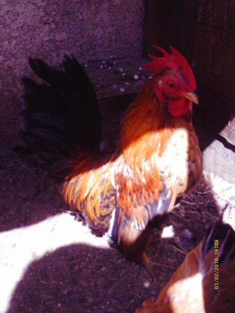 57622_yiytiyi.jpg