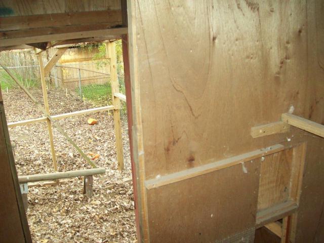 5764_chicken_coop_009.jpg