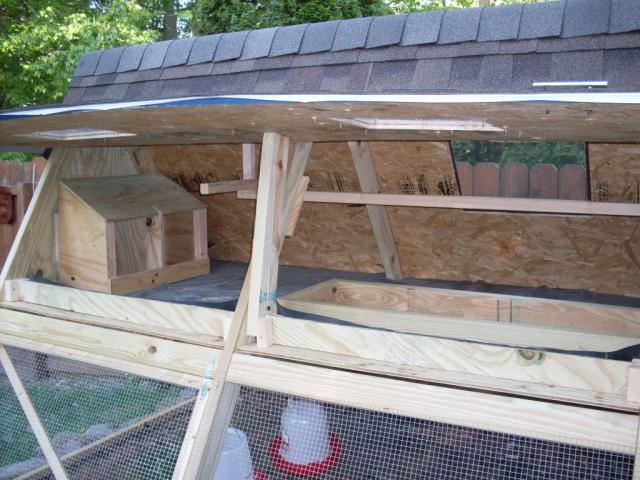 57710_sdc11513.jpg