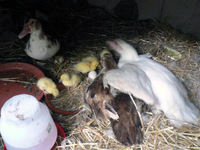 57802_p1190016_edited.jpg