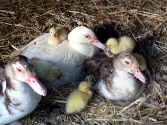 57802_p1190026_edited.jpg