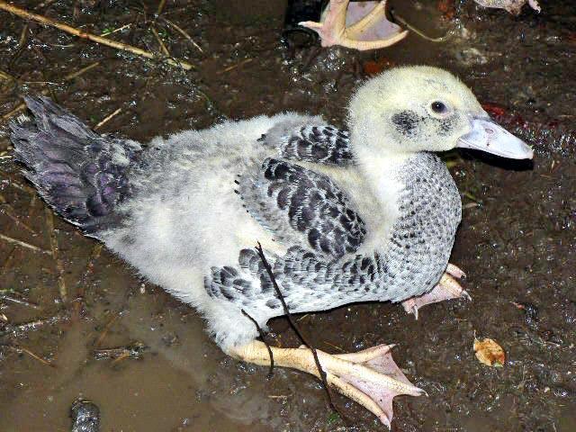 57802_p1190778_edited.jpg