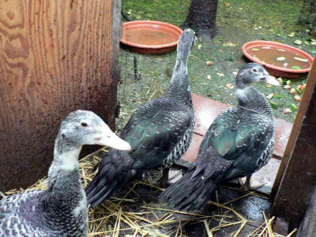 57802_p1200394_edited.jpg