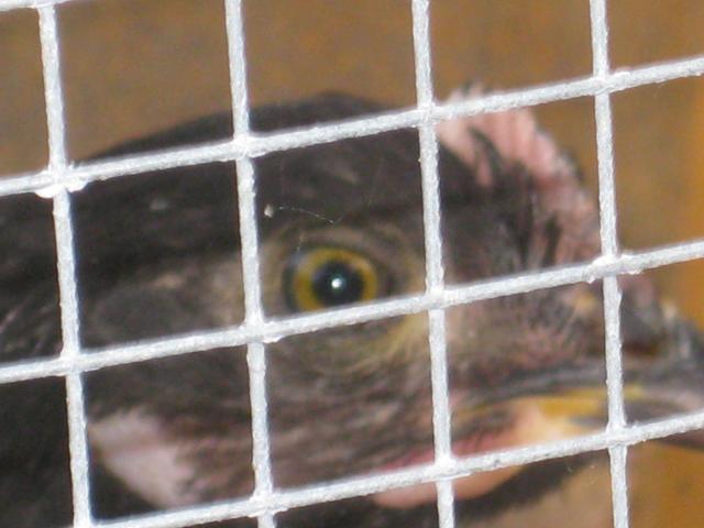 58056_img_2812.jpg
