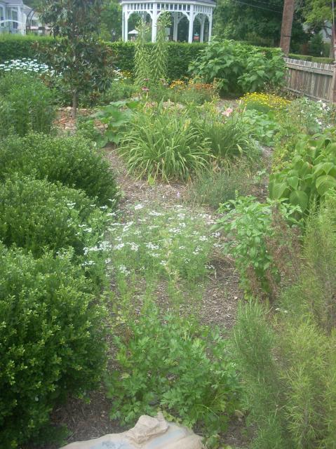 58060_garden_2010_jun_006.jpg