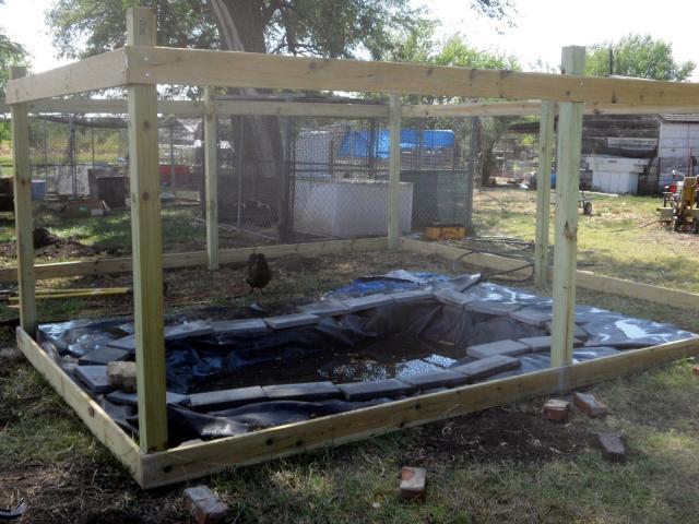 58103_duckaviary2.jpg