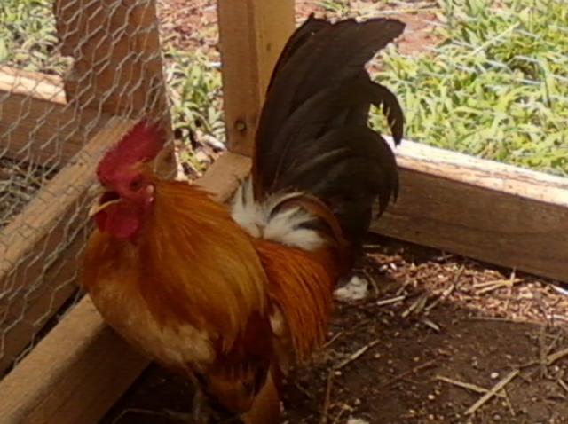 58184_edited_photo0234.jpg