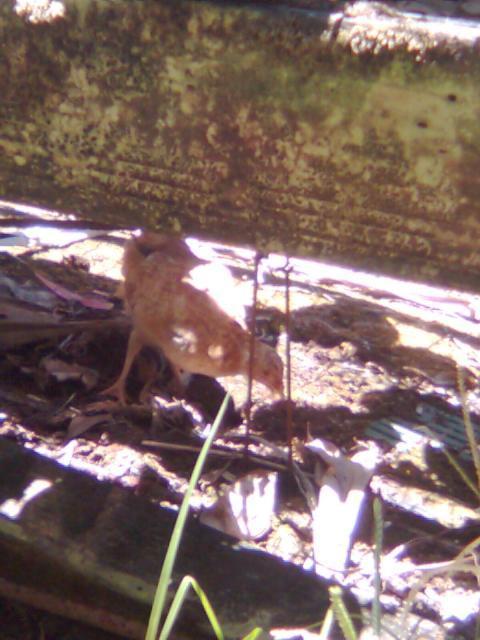 58253_image016.jpg
