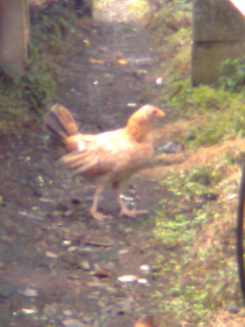 58253_image017.jpg