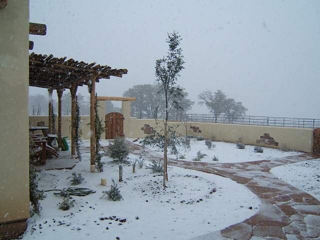 5831_snow_storm.jpg
