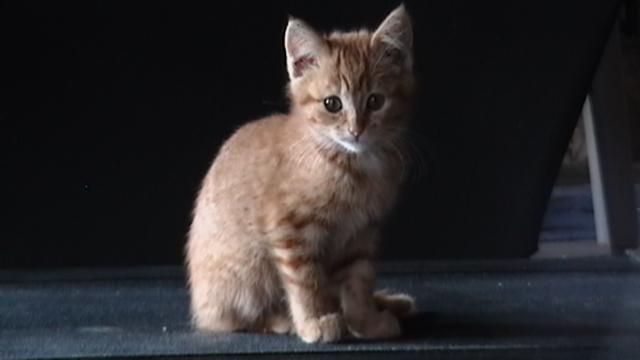 58398_alex_003.jpg