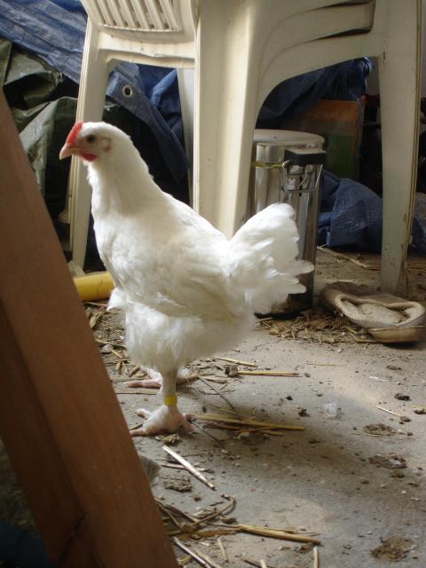 58449_dsc08404.jpg