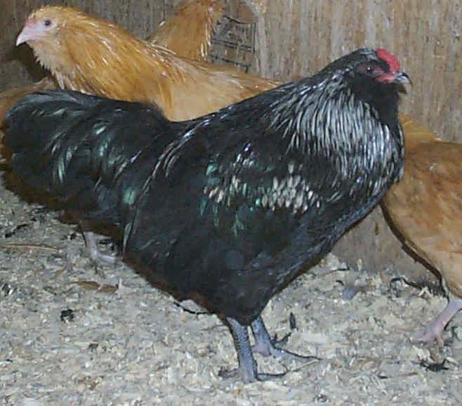 5845_57.jpg