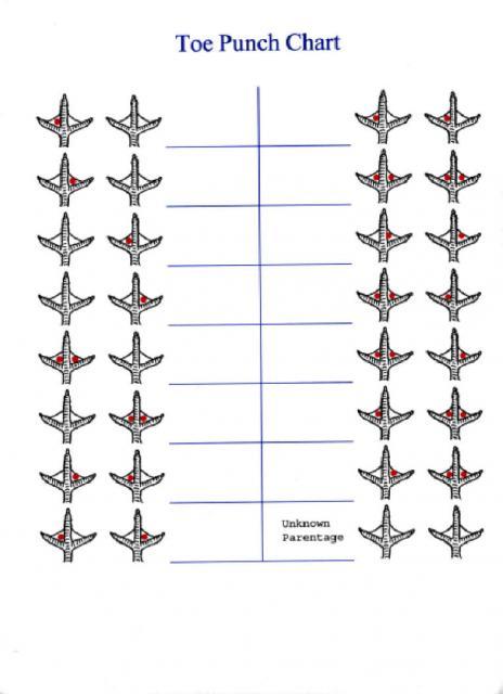 5845_toe_punch_chart.jpg