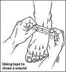 58523_imagesca70bxwj.jpg