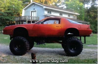 58523_monsterride.jpg