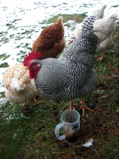 58585_fisrtsnow_062.jpg