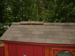 58594_finished_coop_ridge_vent.jpg