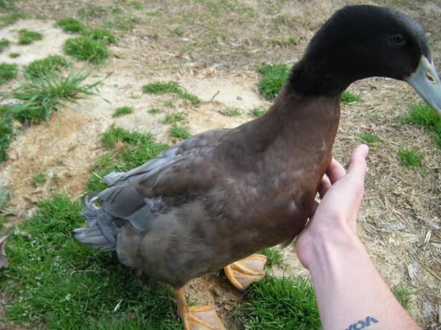 58749_mr1.jpg