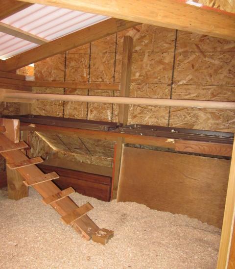 587_img_0204.jpg