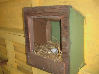 58800_nestbox.jpg