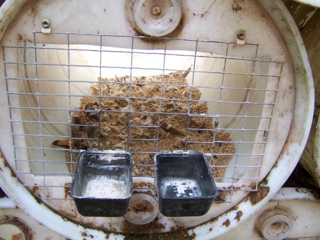 58909_barrel_cage_002.jpg