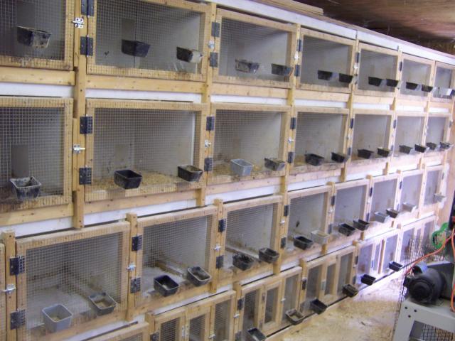58909_pens_002.jpg