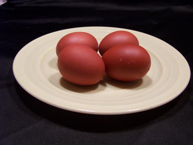 58909_wheaten_eggs_002.jpg
