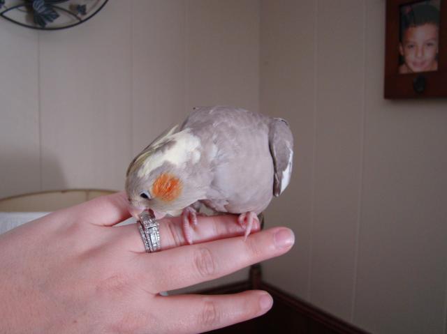59144_jojo_007.jpg