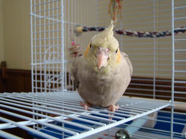 59144_jojo_013.jpg