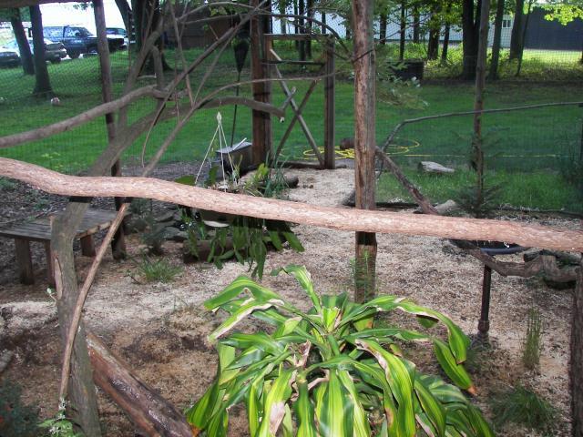 59198_100_4049.jpg