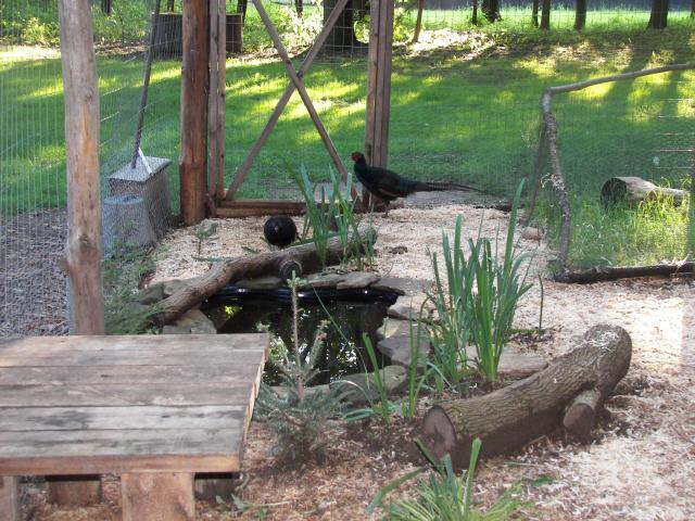 59198_100_4082.jpg