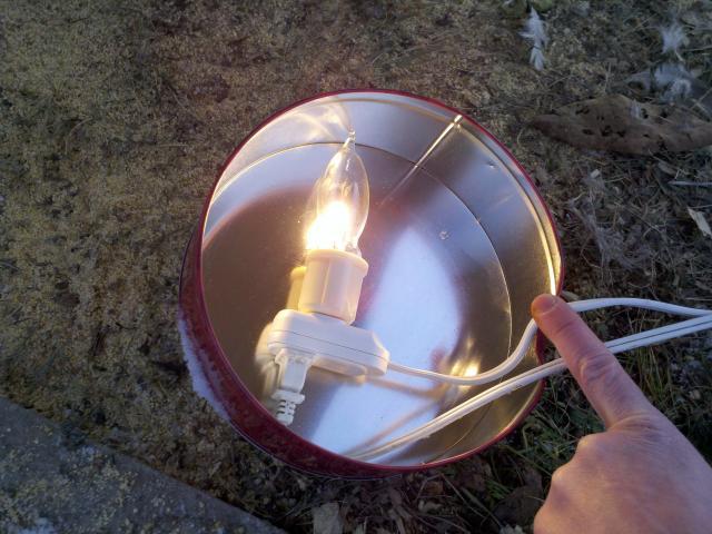 59227_2011-01-10_16-12-06_451.jpg