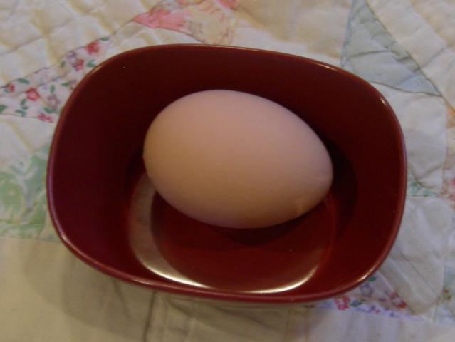59325_firstegg.jpg