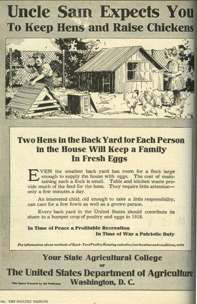59325_unclesamkeephensraisechickensvol231918.jpg