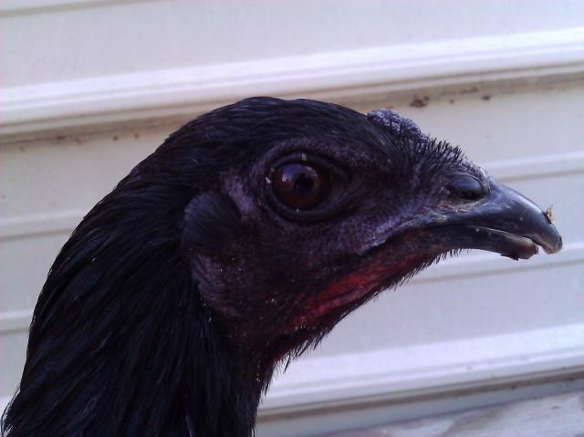 59337_wp_000805.jpg