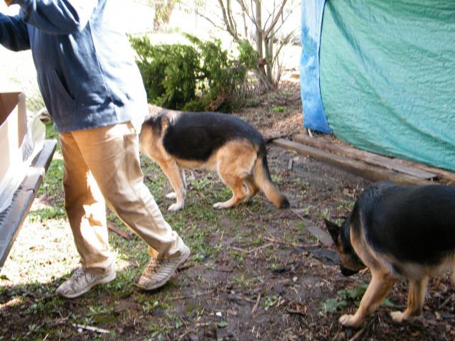 59359_023.jpg