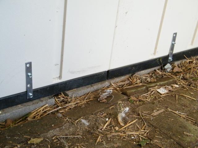 59359_building_the_coop_015.jpg