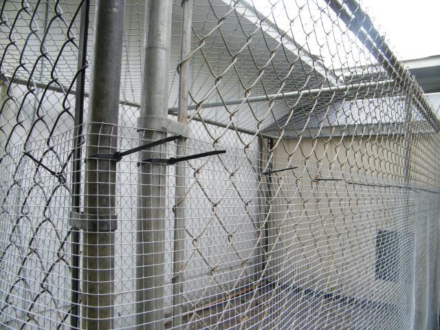 59359_building_the_coop_022.jpg
