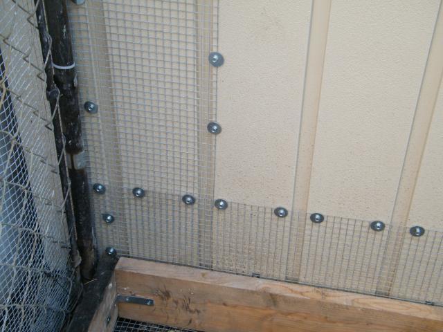 59359_building_the_coop_026.jpg