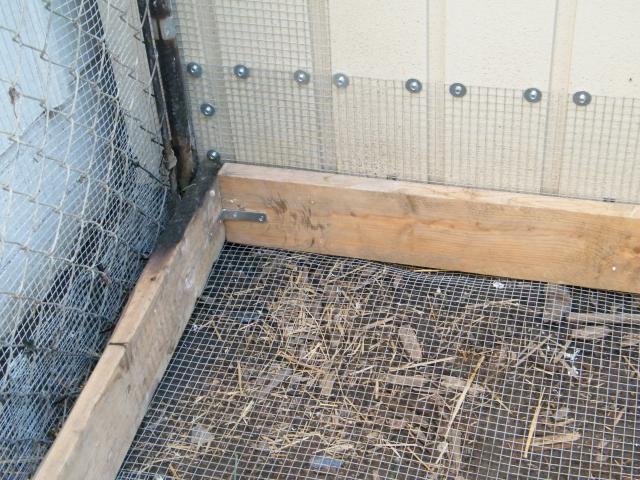 59359_building_the_coop_034.jpg