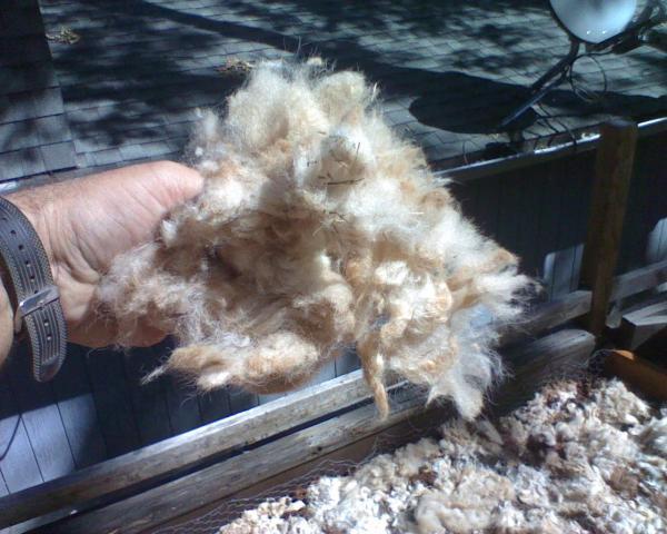 59404_alpaca_fiber_thirds.jpeg