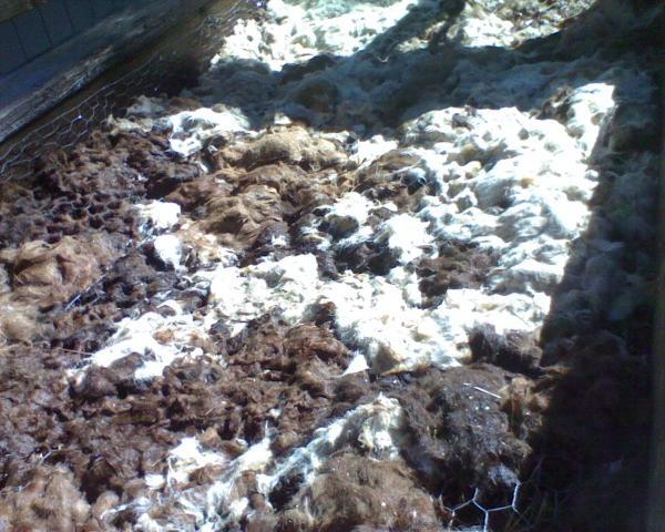 59404_alpaca_fiber_weedblock.jpeg